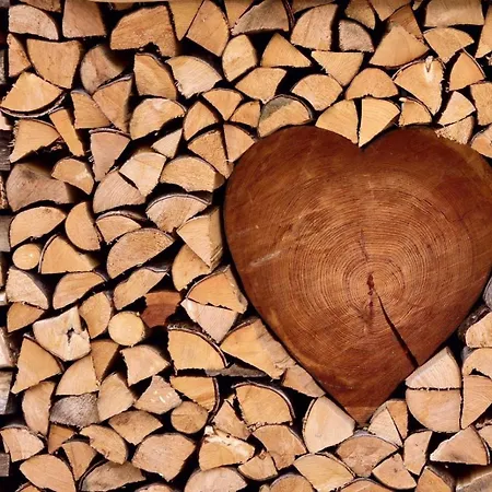 Nature Living - Mit Kamin - Feuerschale - Garten - Mit Beheizbarem Gartenwhirlpool Dom wakacyjny *