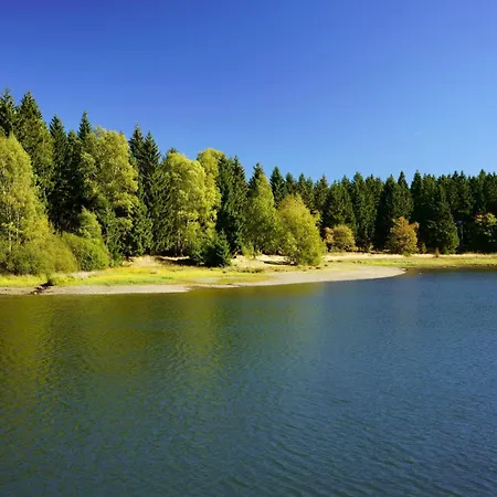 Nature Living - Mit Kamin - Feuerschale - Garten - Mit Beheizbarem Gartenwhirlpool Holiday home