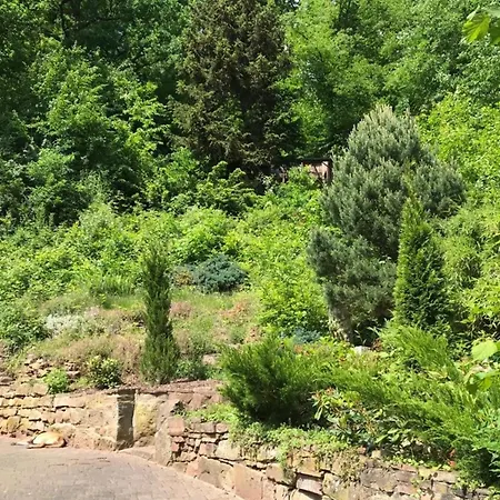 Holiday home Nature Living - Mit Kamin - Feuerschale - Garten - Mit Beheizbarem Gartenwhirlpool